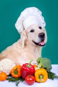 healthy canine ownership