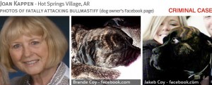 joan-kappen-2013-fatal-bullmastiff-attack-photos