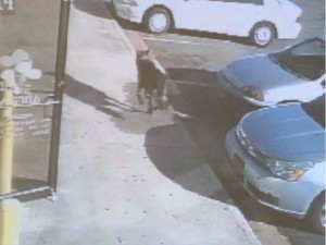Hero dog saves from shooter