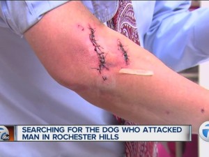Searching_for_the_dog_who_attacked_man_i_2541900001_13055204_ver1.0_640_480