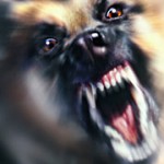 dog-mean-face-150x150